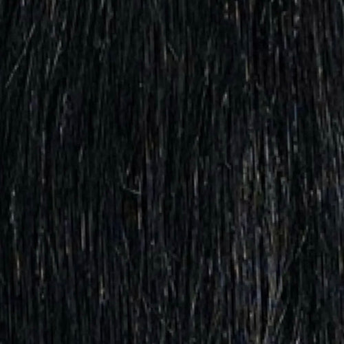 Hair ponytail color 1