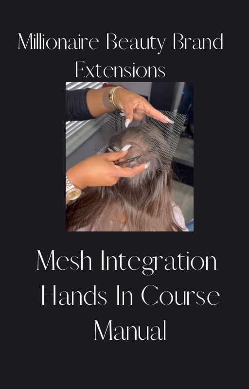 Digital Mesh integration course