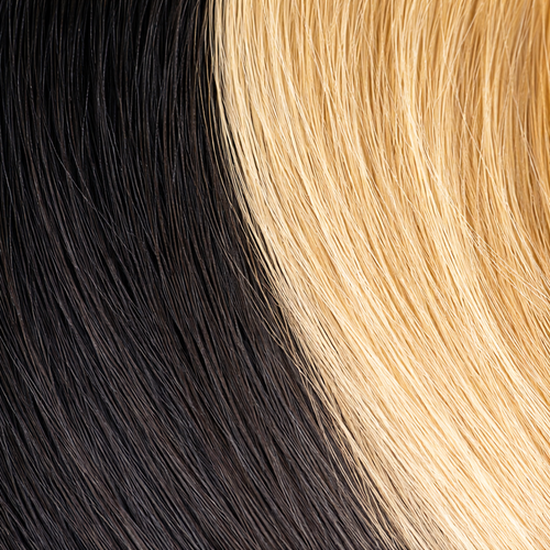 Machine weft color 1B/27