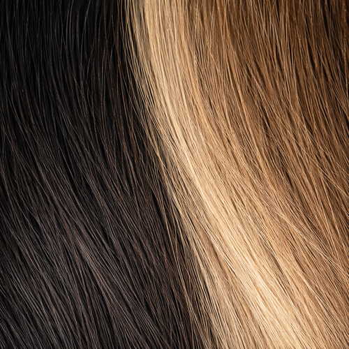 Machine weft color 2/6