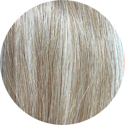 Millionaire Artistry Hair Clip ins color 16