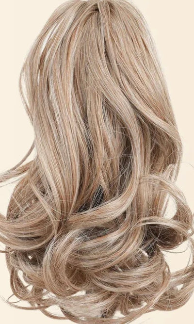 Ponytail color 16
