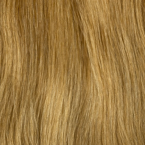 Hair Ponytail color 22