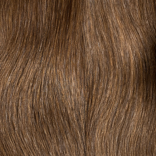 Hair Wefts handtied color 2
