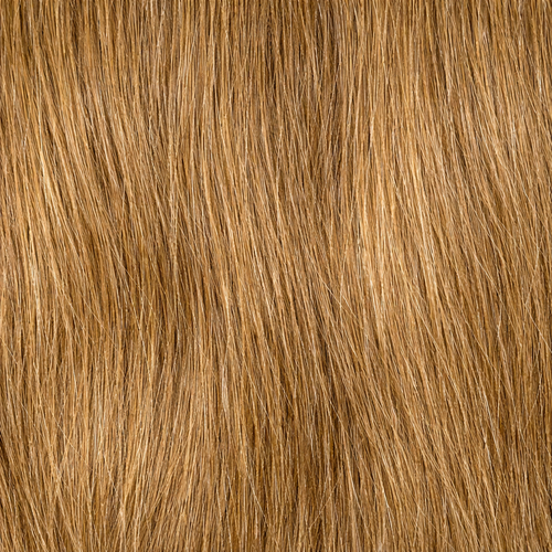 Hair Wefts Hand tied Color 6