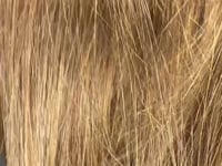 Machine Weft Color 4